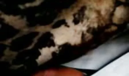 حزب Geile Lesbenshow mit Sexy Cora auf einer Party در برلین تصاویر سکسی در تلگرام